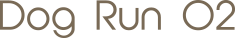Dog Run 02