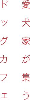 愛犬家が集うドッグカフェ